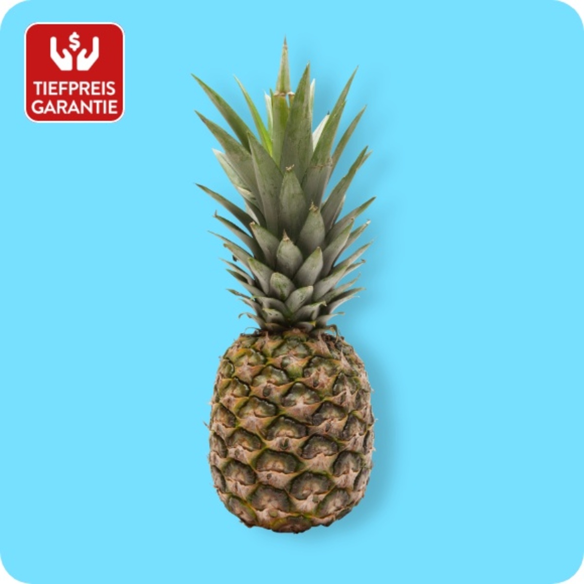 Bild 1 von   Ananas, Ursprung: Costa Rica / Ecuador