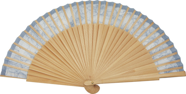 Bild 2 von IDEENWELT Damenfächer Blumen