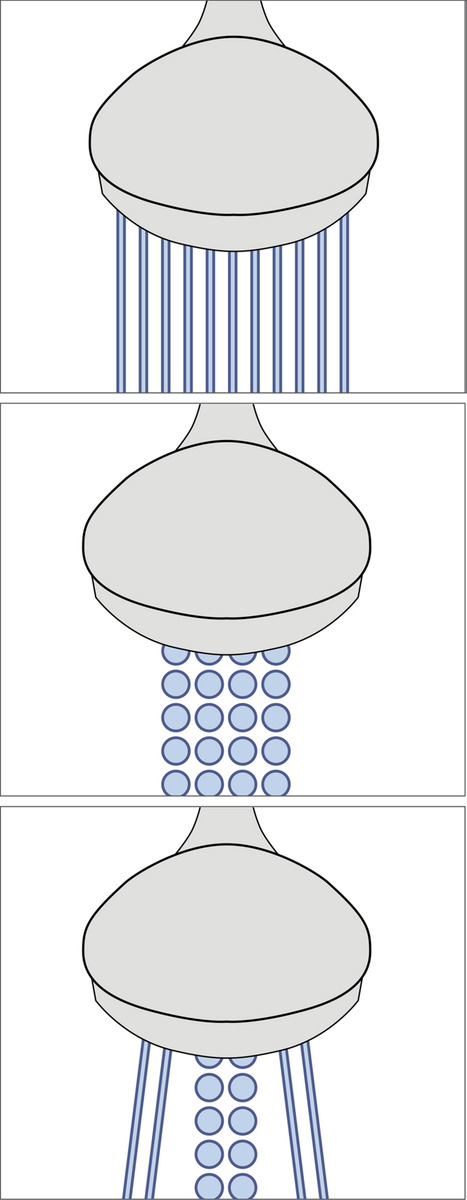 Bild 3 von IDEENWELT 3in1 Duschkopf