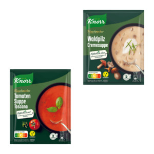 KNORR Feinschmeckersuppe