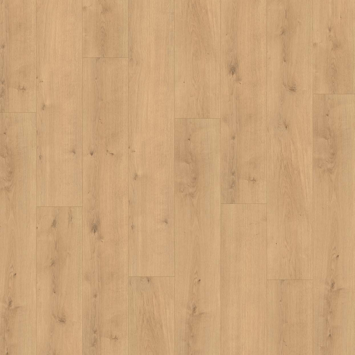 Bild 1 von Parador Vinylboden 'Modular ONE' Eiche Pure natur braun 8 mm