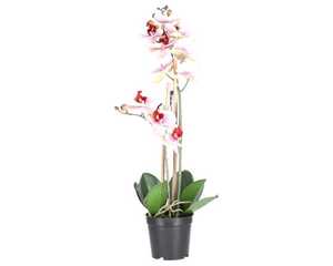 Kunstblume Orchidee im Topf