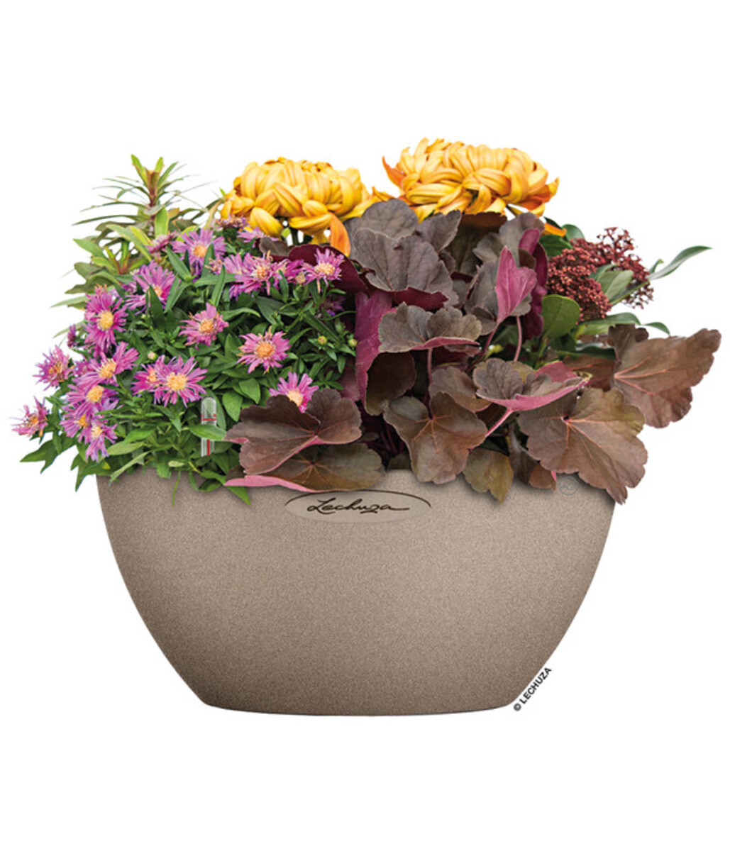 Bild 2 von LECHUZA® Kunststoff-Schale 'Cubeto Stone', rund