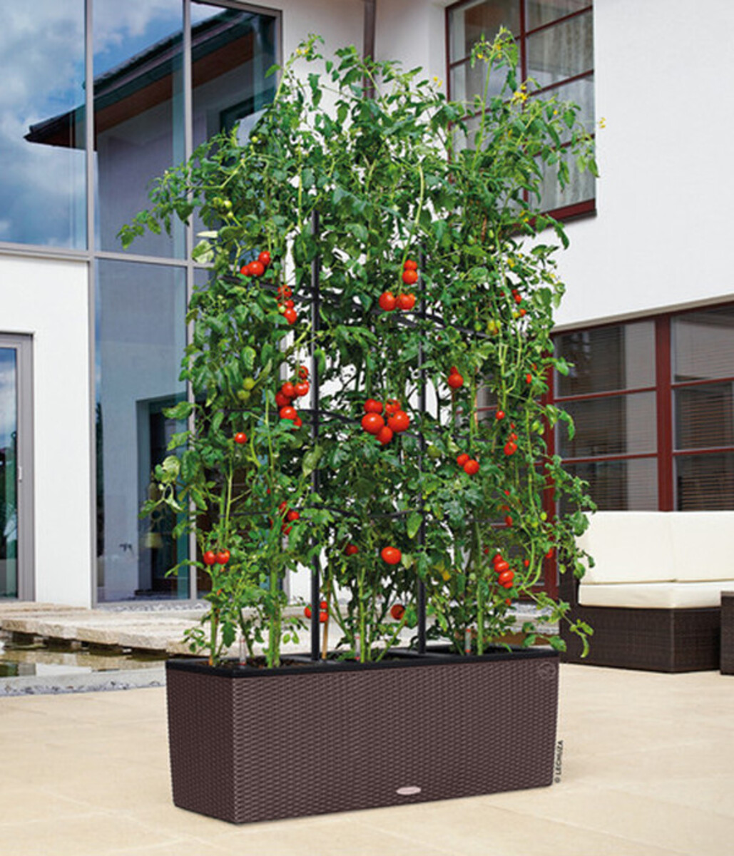 Bild 3 von LECHUZA® Polyrattan-Kasten Trio Cottage, mokka