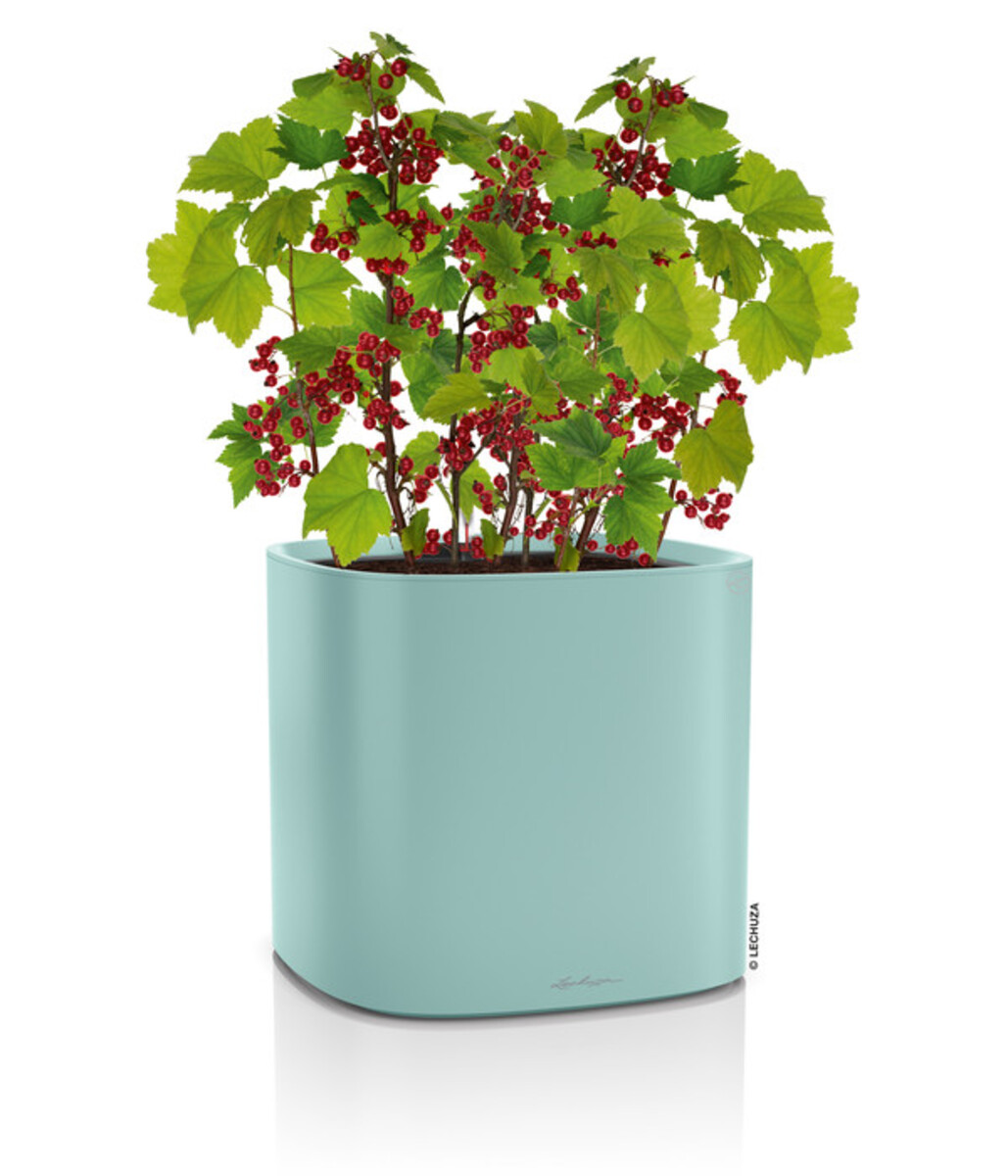 Bild 2 von LECHUZA® PILA Color Planter, ca. B35/H33/T35 cm, pastellgrün