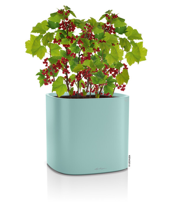 Bild 2 von LECHUZA® PILA Color Planter, ca. B35/H33/T35 cm, pastellgrün