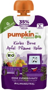 Pumpkin Organics Bio Quetschie mit Kürbis, Birne, Apfel, Pflaume & Hafer, 100 g