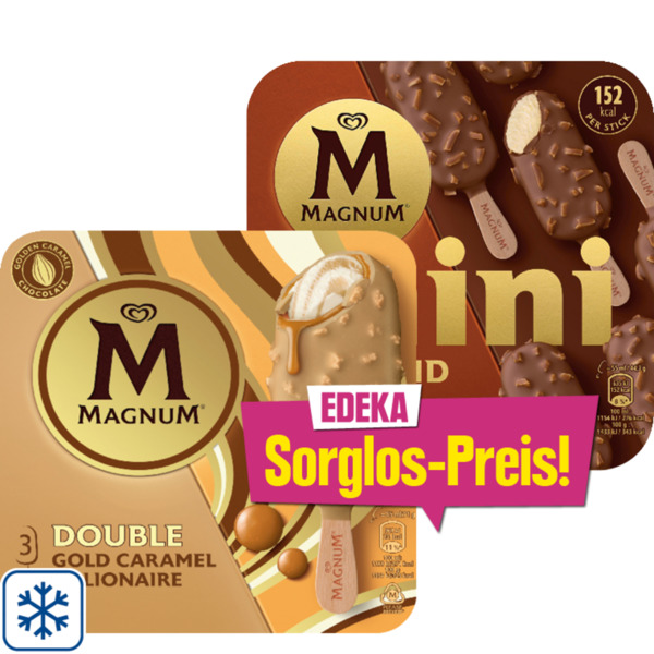 Bild 1 von Magnum Multipack Eis