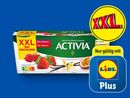 Bild 1 von Danone Activia XXL