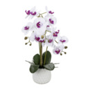 Bild 2 von HOME CREATION Naturgetreue Orchidee