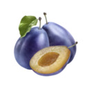 Bild 1 von Serbien
Zwetschgen