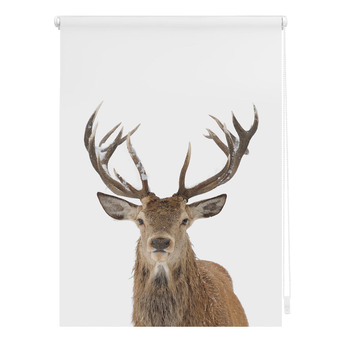 Bild 1 von Lichtblick Rollo Klemmfix, ohne Bohren, blickdicht, Hirsch - Weiß Braun
