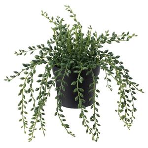 FEJKA  Topfpflanze, künstlich, drinnen/draußen Kreuzkraut 9 cm