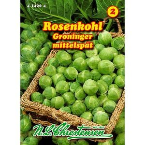 Rosenkohl, Groninger für etwa 120 Pflanzen