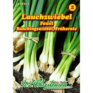 Lauchzwiebel, Feast, Bunchingzwiebel