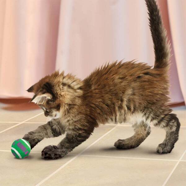 Bild 3 von KONG Katzenspielzeug Active Tennisbälle mit Glöckchen