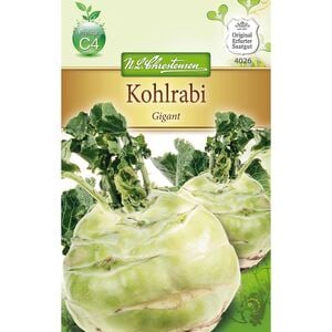 Kohlrabi Gigant