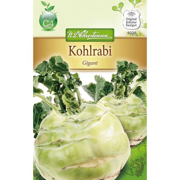 Bild 1 von Kohlrabi Gigant