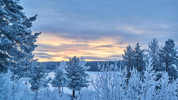 Bild 1 von Rundreisen Schweden: Standort-Rundreise mit Aufenthalt im Hotel Jokkmokk