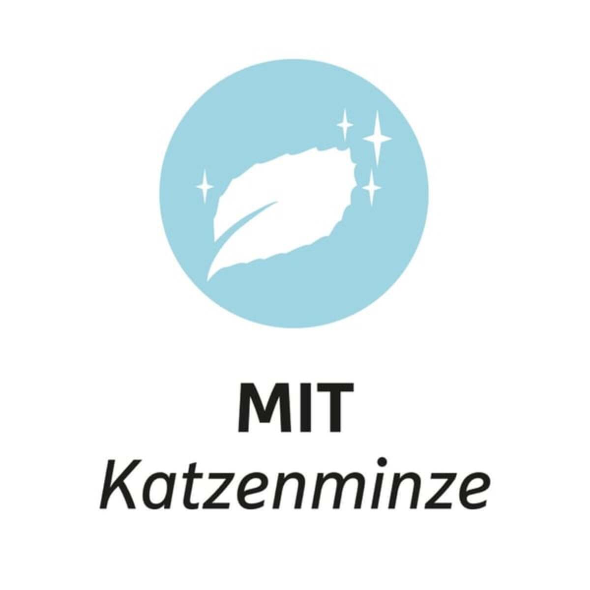 Bild 4 von ZooRoyal Katzenspielzeug Bonbon mit Katzenminze anthrazit