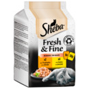 Bild 1 von Sheba Portionsbeutel Multipack Fresh & Fine in Sauce mit Huhn und Truthahn 6x50g