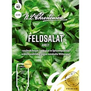 Feldsalat Amely