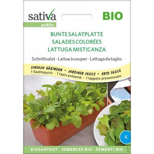 Saatgut Saatteppich Schnittsalat BUNTE SALATPLATTE