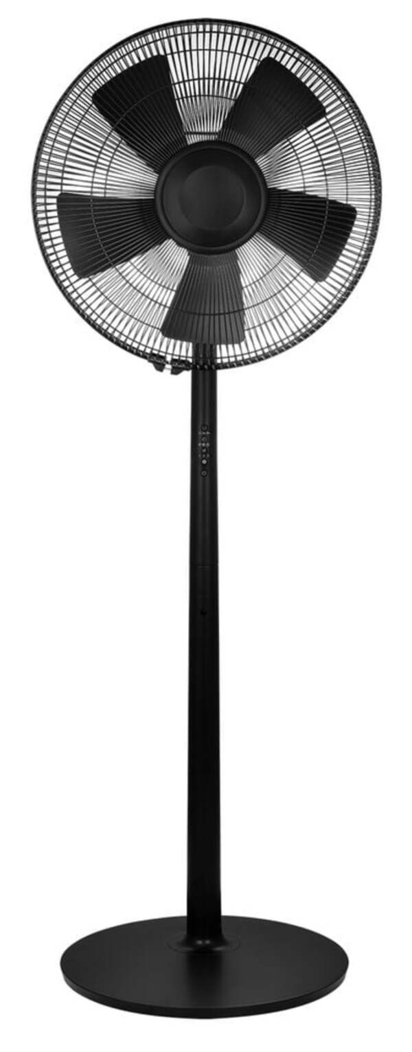 Bild 1 von edler Standventilator mit Fernbedienung, 135 cm, schwarz