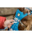 Bild 4 von RUFFWEAR® Hundegeschirr Flagline Harness 2.0 Blue Dusk