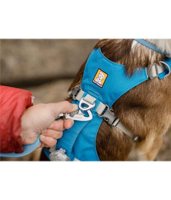 Bild 4 von RUFFWEAR® Hundegeschirr Flagline Harness 2.0 Blue Dusk