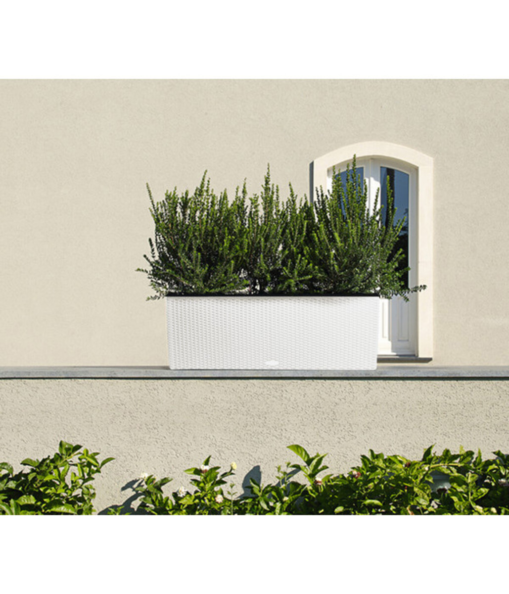 Bild 3 von LECHUZA® Polyrattan-Kasten Trio Cottage, weiß