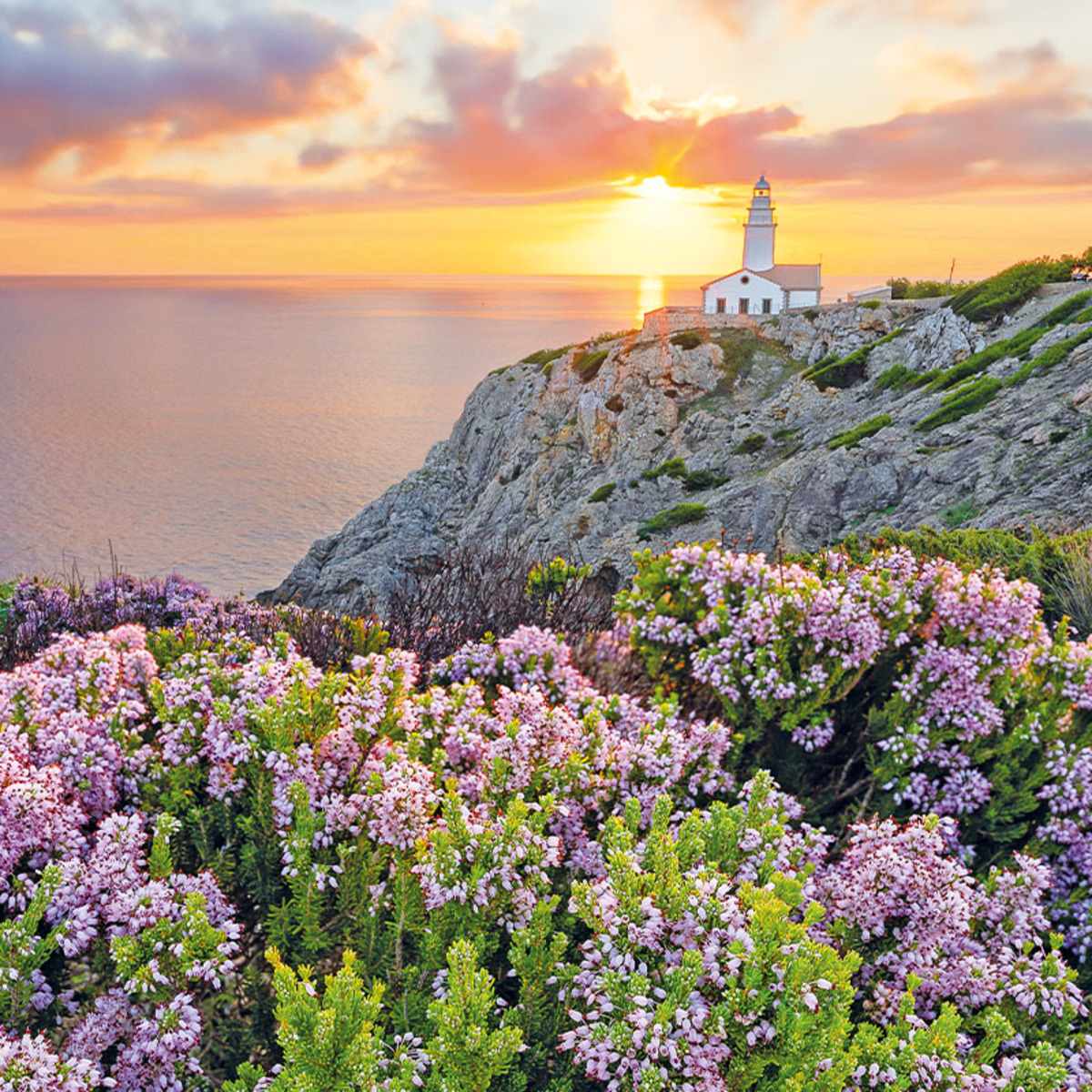 Bild 1 von Wandern auf Mallorca – Cala Ratjada