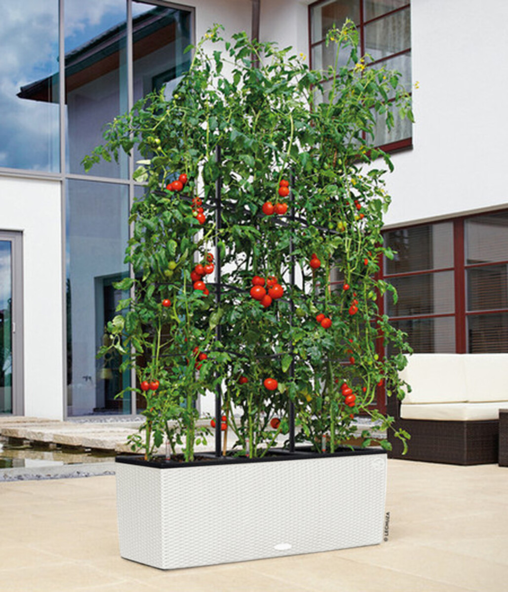 Bild 2 von LECHUZA® Polyrattan-Kasten Trio Cottage, weiß