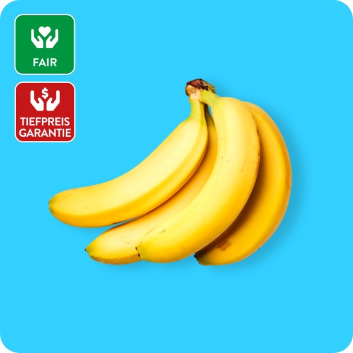 Bild 1 von GUT BIO Bio-Fairtrade-Bananen, Ursprung: Peru / DominikanischeRepublik / Ecuador / Kolumbien