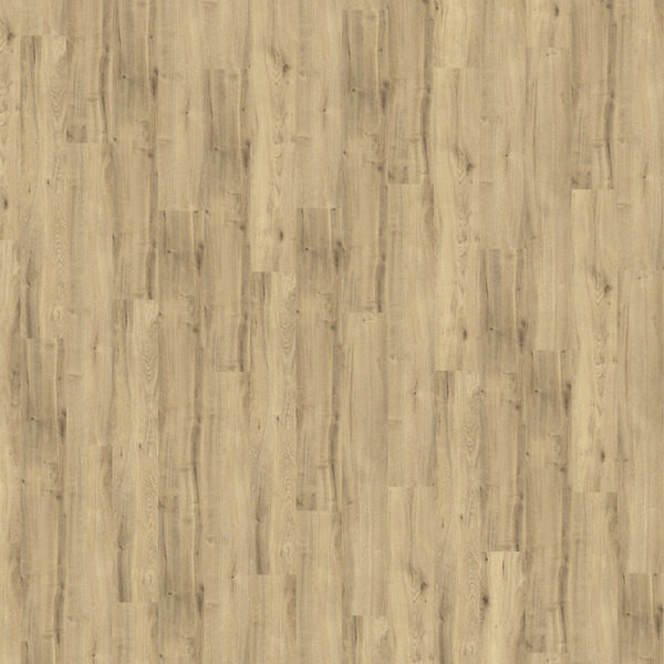 Bild 1 von DECOLIFE Vinylboden 'Nature' Country Oak naturbraun 10,5 mm