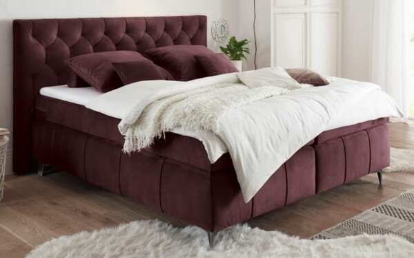 Bild 1 von ED Lifestyle - Boxspringbett Pembroke 8, aubergine, 180 × 200 cm