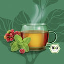 Bild 3 von Bad Heilbrunner Bio Kräutertee Cascara+Minze, 27 g