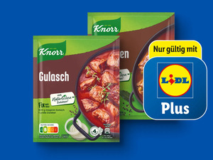 Knorr Fix