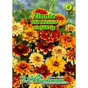 Zinnia, Zinnie, Old Mexico