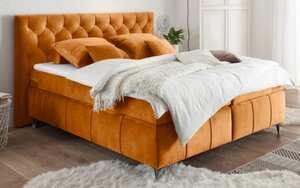 ED Lifestyle - Boxspringbett Pembroke 8 in amber, 180 × 200 cm