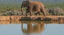 Bild 1 von Rundreisen Südafrika, Mosambik, Botswana & Simbabwe: Rundreise ab Kapstadt bis Victoria Falls inkl. Viktoriafälle