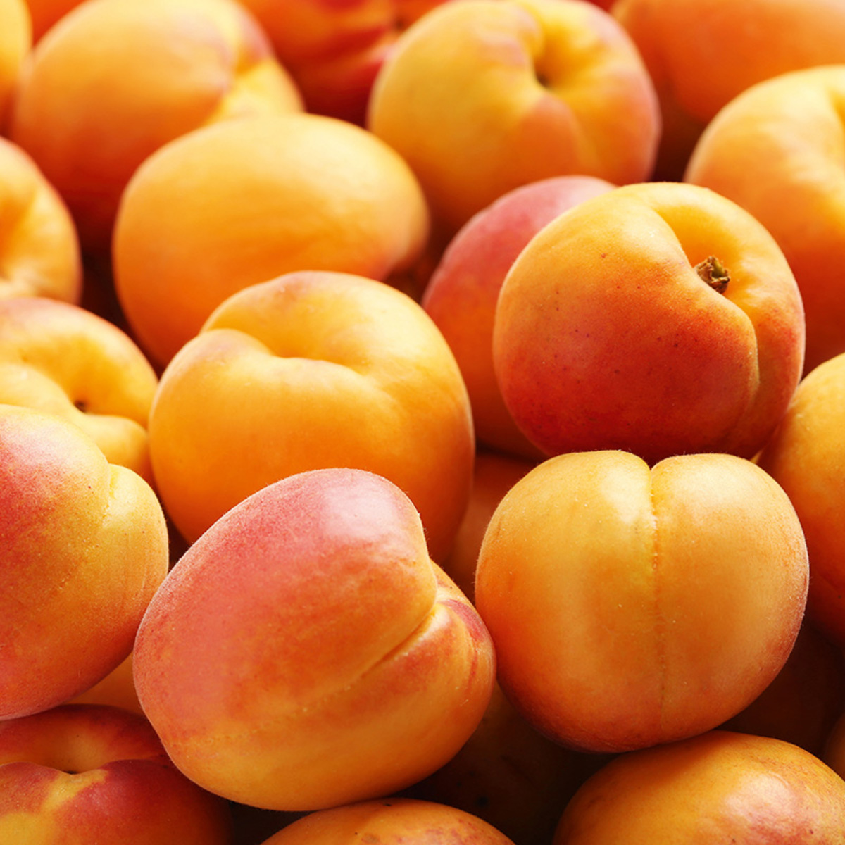Bild 2 von Premium Aprikosen