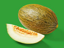 Bild 1 von Zuckermelone „Piel de Sapo“