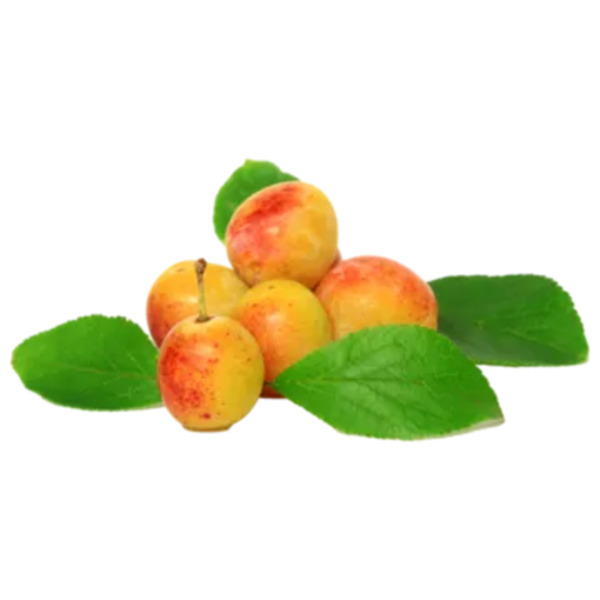 Deutschland Mirabellen von HIT ansehen!