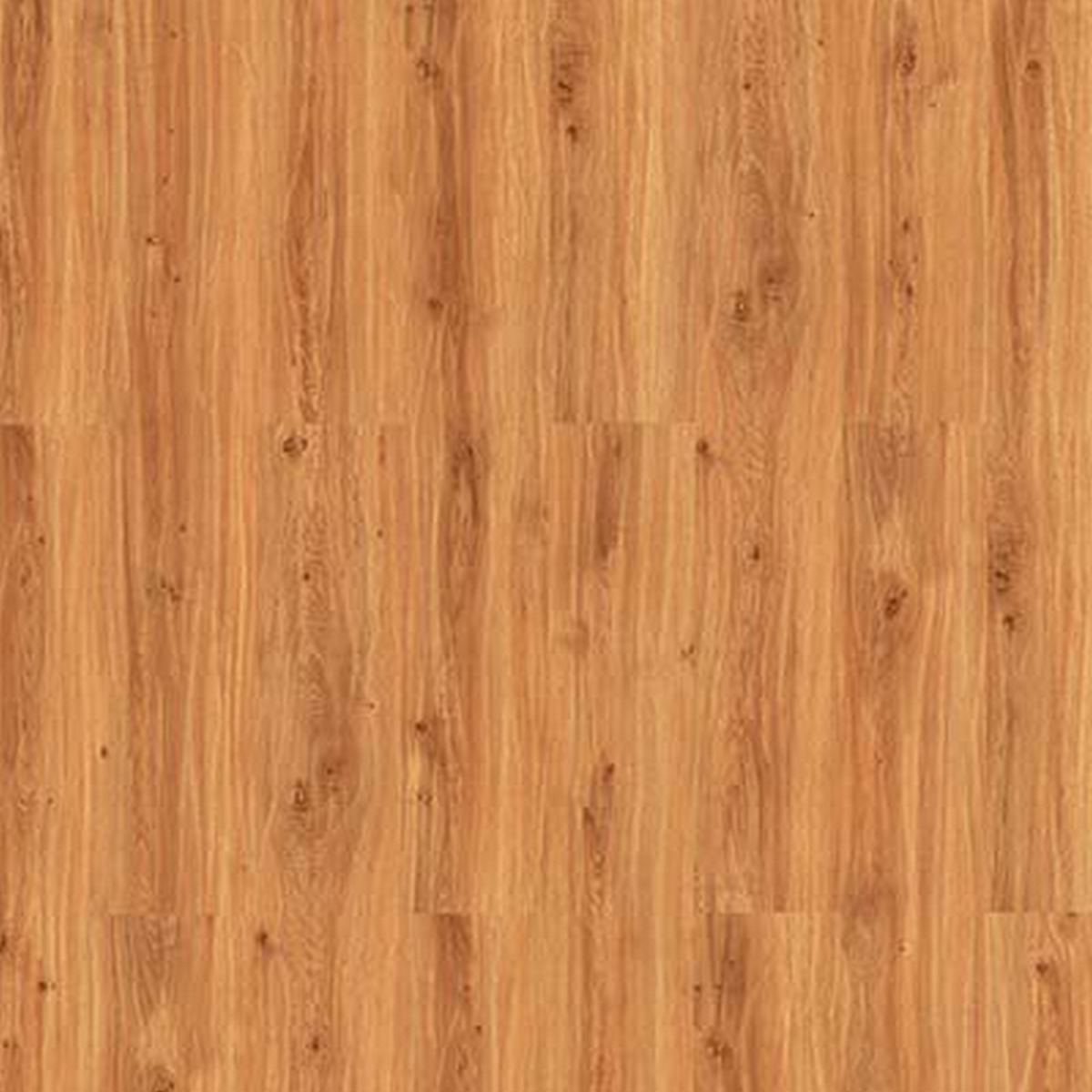 Bild 1 von toom Laminat 'Mediterran' Montana braun eichefarben 7 mm