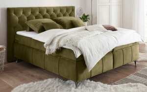 ED Lifestyle - Boxspringbett Pembroke 8, olive, 180 × 200 cm