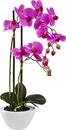 Bild 1 von Kunstpflanze Orchidee, Lila