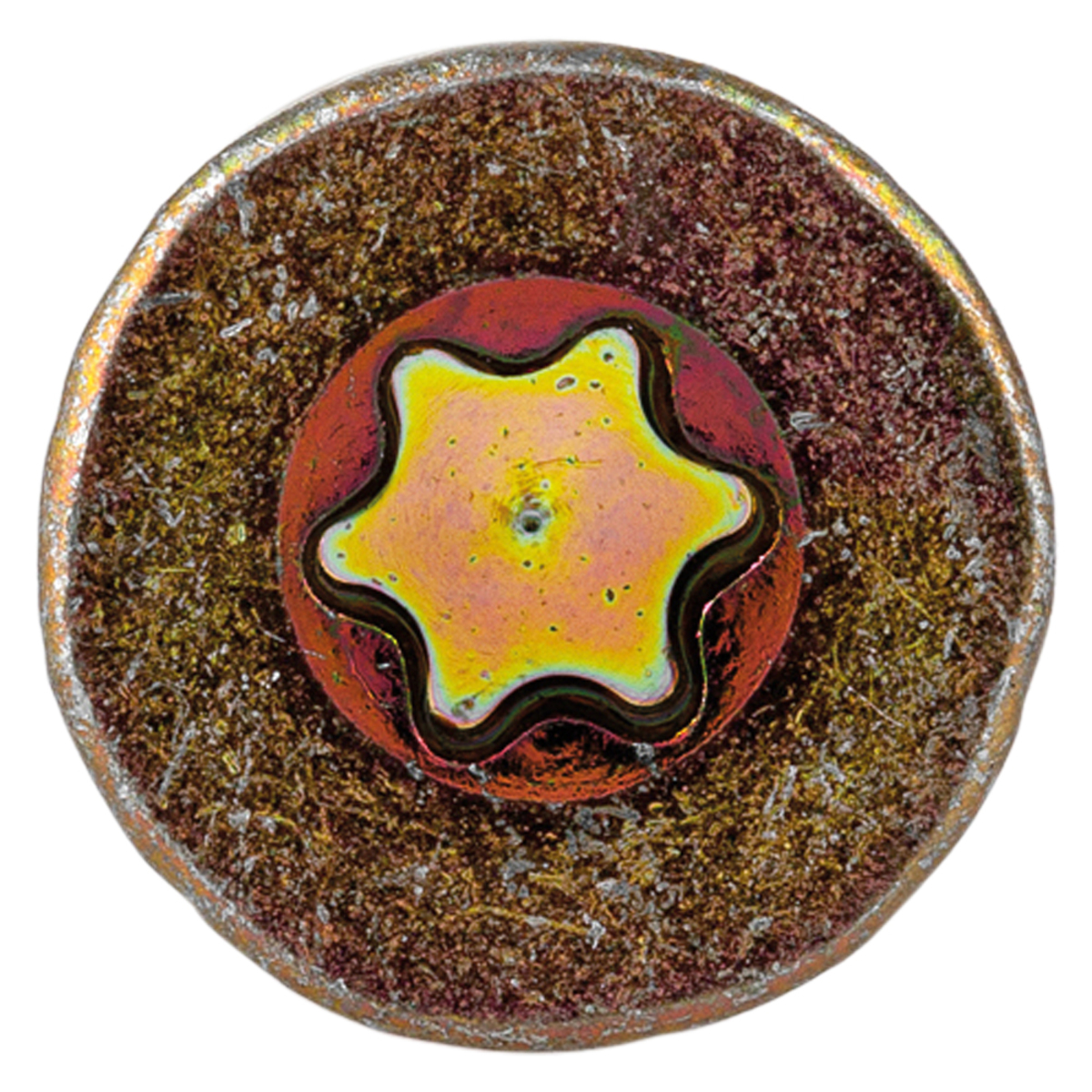 Bild 2 von Spanplattenschrauben, TX25 M5,0 x 60 mm + 1 Bit