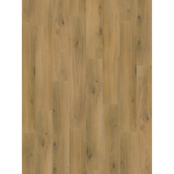 Bild 1 von Parador Laminat 'Basic' Eiche Country eichefarben 7 mm