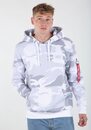 Bild 1 von Alpha Industries Kapuzensweatshirt BACK PRINT HOODY